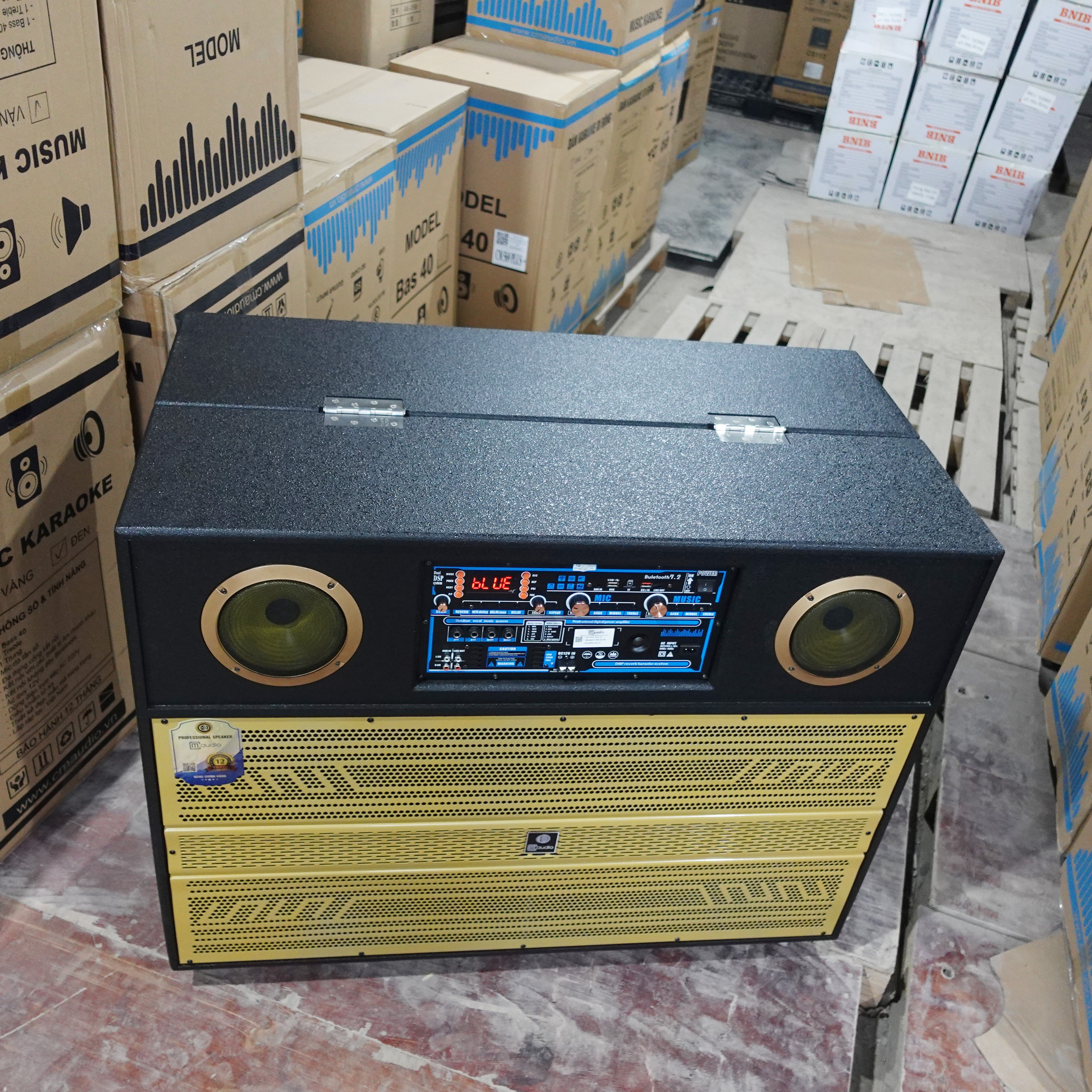 https://banoka.vn/loa tủ CM 2218 2